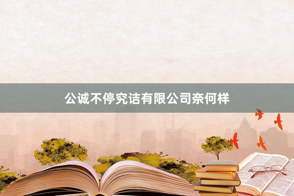 公诚不停究诘有限公司奈何样