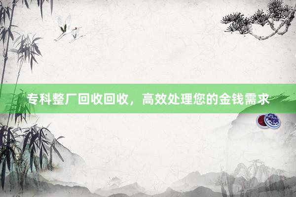 专科整厂回收回收，高效处理您的金钱需求
