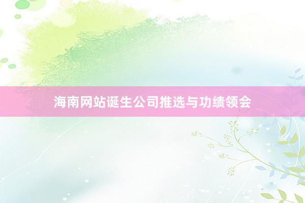 海南网站诞生公司推选与功绩领会