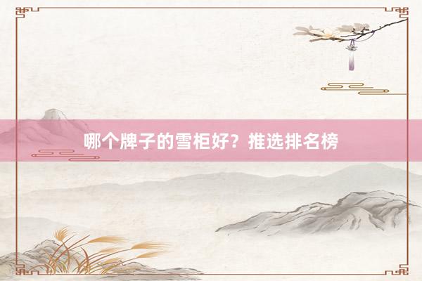 哪个牌子的雪柜好？推选排名榜