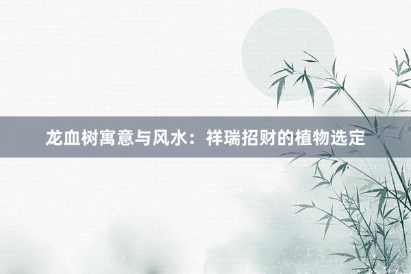 龙血树寓意与风水：祥瑞招财的植物选定