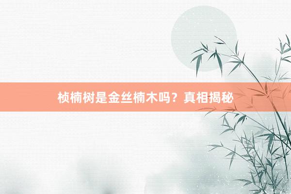 桢楠树是金丝楠木吗？真相揭秘
